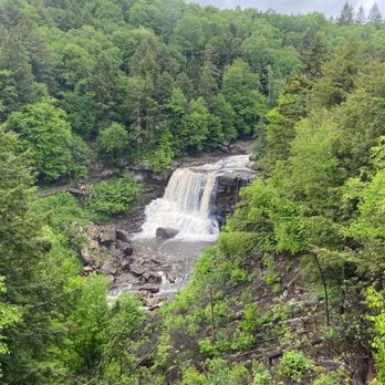 Blackwater Falls State Park - Blackwater Falls from the trail - Parks Near Me - Davis, West Virginia Blackwater Falls State Park - Blackwater Falls from the trail - Parks Near Me - Davis, West Virginia