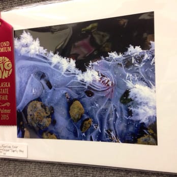 Alaska State Fair - Festivals Near Me - Palmer, Alaska