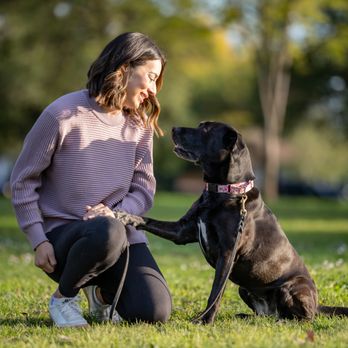 Leash & Learn - Pet Training Near Me Leash & Learn - Pet Training Near Me