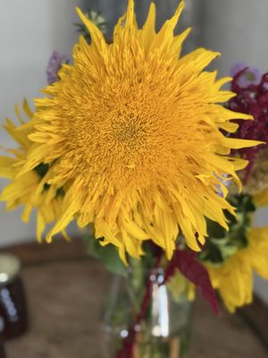 Hope Flower Farm & Winery by null