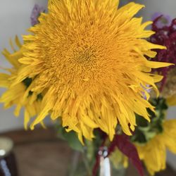 Hope Flower Farm and Winery