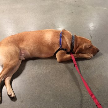 TeKu Tavern + Cafe - Gus had to much fun. - Beer Bar Near Me - Seattle, Washington