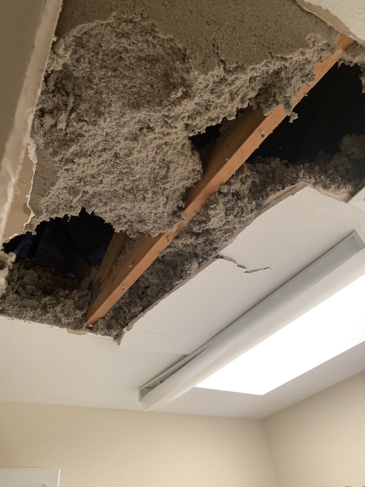 LAKESIDE DRYWALL & PAINTING Updated August 2024 2026 McCulloch Blvd