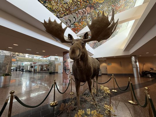 Ted Stevens Anchorage International Airport by null