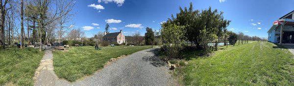 Zephaniah Farm Vineyard by null