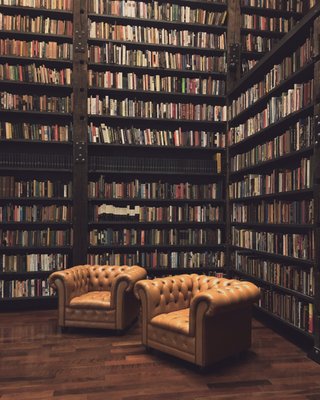 Stony Island Arts Bank by null