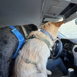 Walgreens - It's treat time