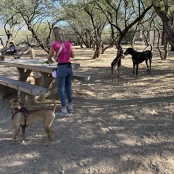 Smiling Dog Ranch at George Mehl Family Park - Pups playing at Smiling Dog
