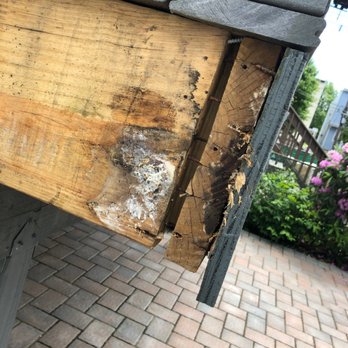 MV Hammer - This is the "pressure treated" wood from my three year old deck (built 2016). BE CAREFUL HIRING MIKE AND HIS CREW! Waste of $ - General Contractors Near Me