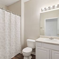 Carrington Park at Lake Lanier - Apartment Bathroom