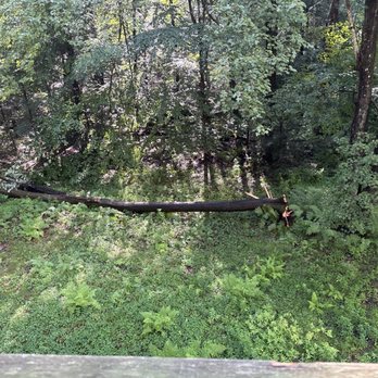 Full Cycle Landworks - fallen tree - Tree Services Near Me