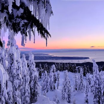 Breakaway Adventures - Sunset over Vancouver while snowshoeing. - Hiking Near Me - Vancouver, British Columbia