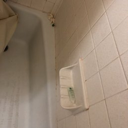How we found the shower, leftover soap and shampoo from the previous guest. Clearly not cleaned. How we found the shower, leftover soap and shampoo from the previous guest. Clearly not cleaned.