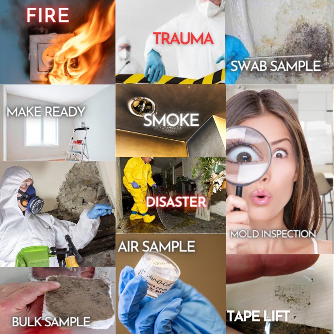 TMIC Environmental Consultants - mold inspector in Houston, TX