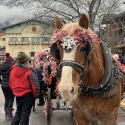 Abendblume - In the town of Leavenworth everyone works.