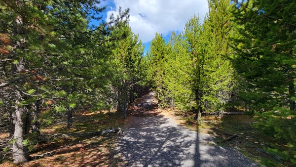 Biscuit Basin by null