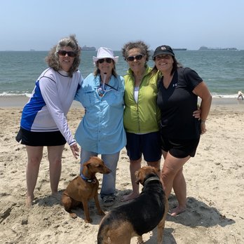 Rosie's Dog Beach - The ladies - Dog Parks Near Me - Long Beach, California Rosie's Dog Beach - The ladies - Dog Parks Near Me - Long Beach, California
