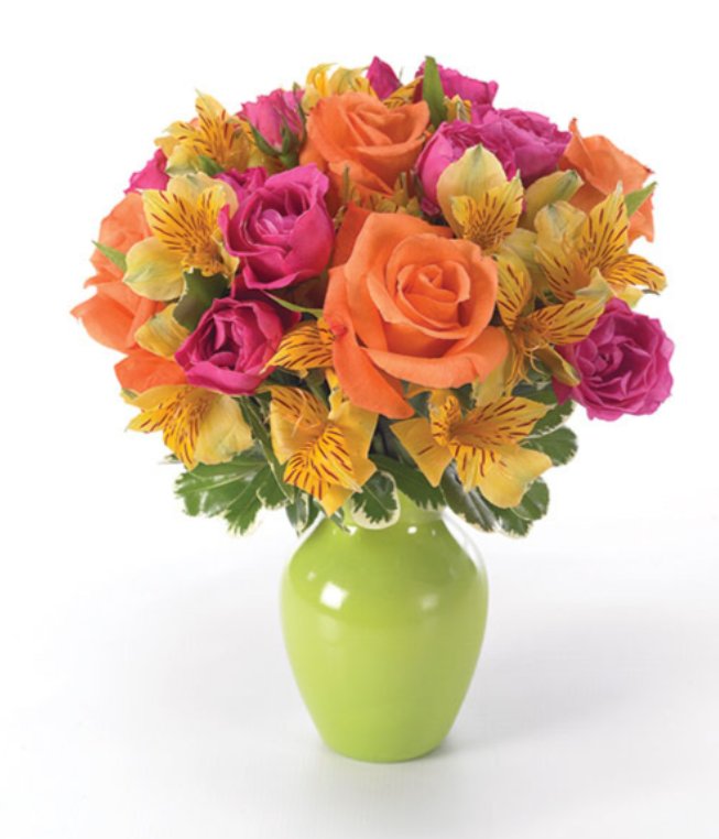 PATRICIA’S PETALS Updated August 2024 19 Reviews Brooksville, Florida Floral Designers