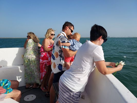 DOLPHIN DOCK - Updated March 2025 - 155 Photos & 149 Reviews - 300 W