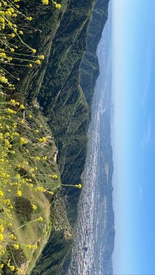 Stough Canyon Nature Center by null
