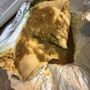Photo of Ranee's Roti