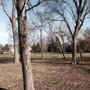 Photo of Denning Park