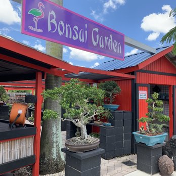 Flamingo Road Nursery - Bonsai too!!!! - Nurseries & Gardening Near Me - Davie, Florida