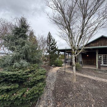 Boring Bean - Coffee & Tea Near Me - Boring, Oregon