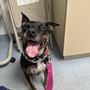Photo of All Creatures Veterinary Hospital