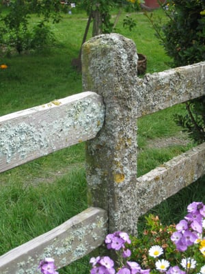 Hobbiton™ Movie Set Tours by null