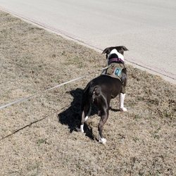 San Angelo Dog Park