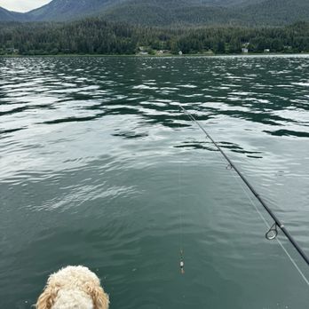 Chum Fun Charters - Fishing Near Me - Juneau, Alaska Chum Fun Charters - Fishing Near Me - Juneau, Alaska