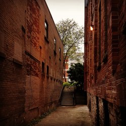 Toronto Free Walking Tours