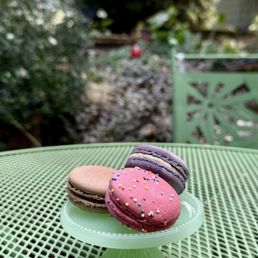 Chocolate, Earl Grey, Animal Cracker macarons