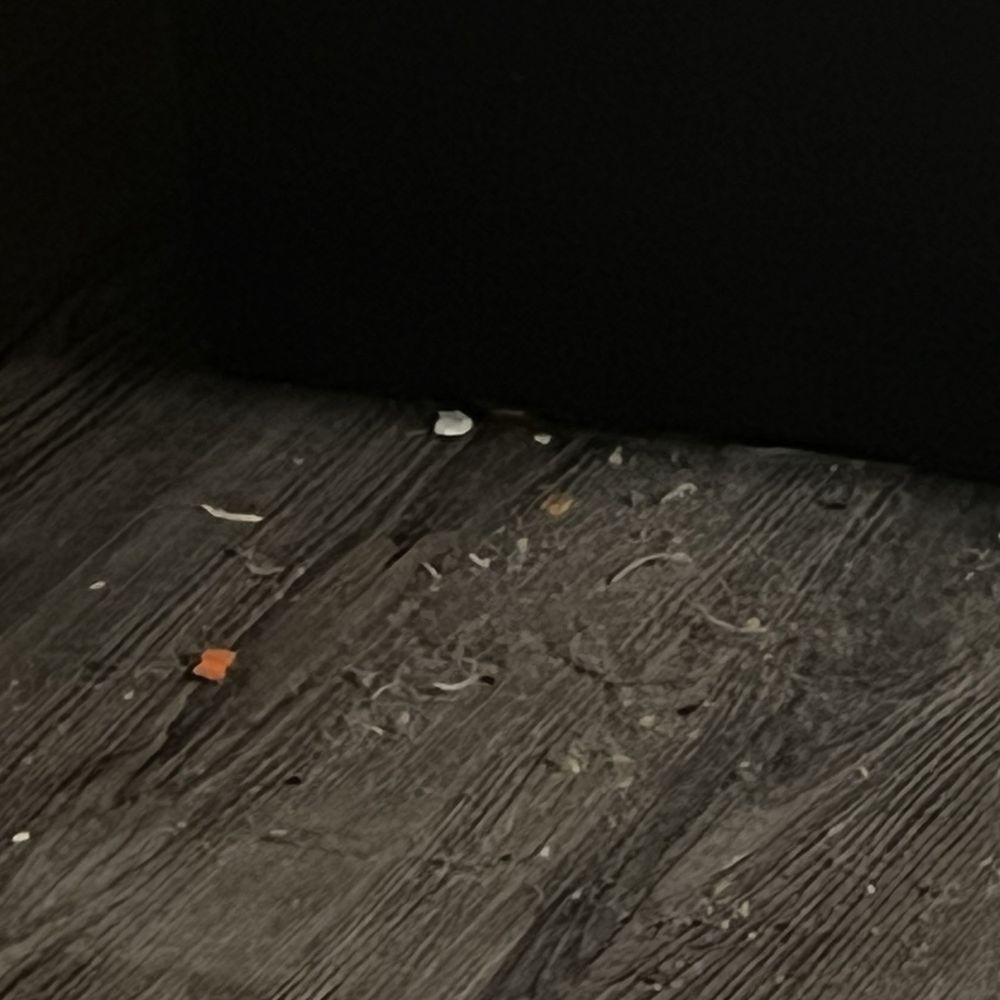 Marriott Riverside at the Convention Center - Looks like nail clippings - Hotels Near Me - Riverside, California Marriott Riverside at the Convention Center - Looks like nail clippings - Hotels Near Me - Riverside, California