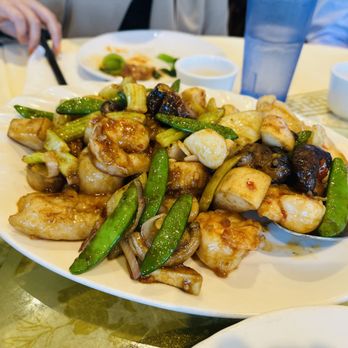 Tin's Teapot Bistro - X.O. Sauce Seafood Combo - Dim Sum Near Me - Hayward, California Tin's Teapot Bistro - X.O. Sauce Seafood Combo - Dim Sum Near Me - Hayward, California