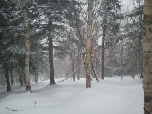 Sunday River Resort by null