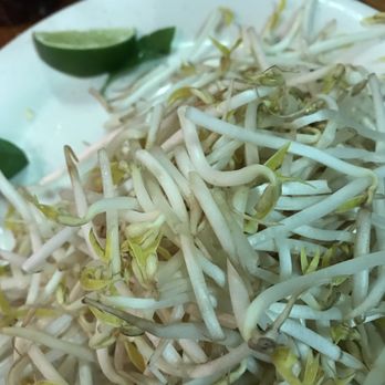 Pho Today - Vietnamese Near Me - Jacksonville, Florida
