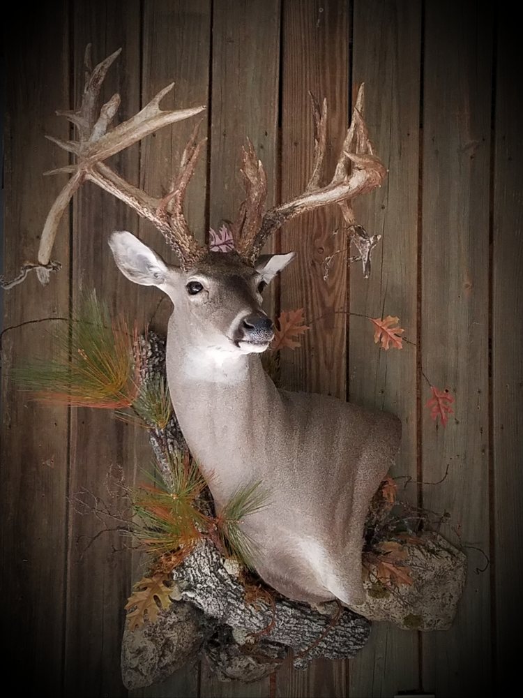 BigTracks Taxidermy - taxidermy in Greensboro, GA