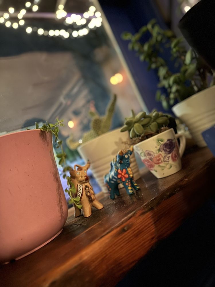 CASA ZORAYA Updated September 2024 219 Photos & 211 Reviews 841 N Lombard St, Portland