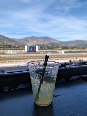 Santa Anita Park by null