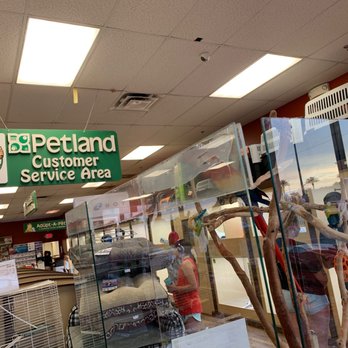 Petland Henderson - Pet Stores Near Me - Henderson, Nevada