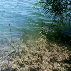 Drewitzer See