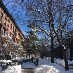 Healing Family Chiropractic - Beautiful 3rd Street in the winter