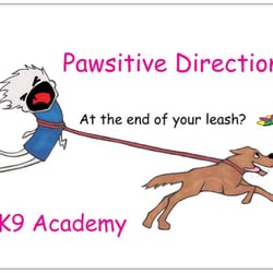 Pawsitive Directions K9 Academy - Training dogs. One human at a time.