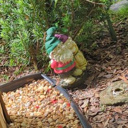 Nature Coast Botanical Gardens and Nursery