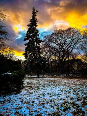 Tompkins Square Park by null