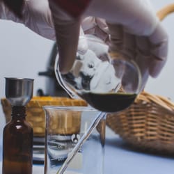 Naturally Simple Living - Teaching herbal preparation class.