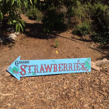 Crystal Bay Farm - Fruits & Veggies Near Me - Watsonville, California Crystal Bay Farm - Fruits & Veggies Near Me - Watsonville, California