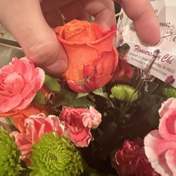 Old wilted roses in a just-delivered bouquet
